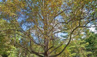 91 Haw Creek Cir, Asheville, NC 28805