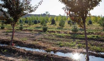 9001 2100 Rd, Austin, CO 81410