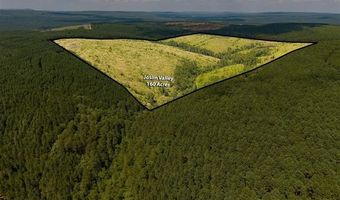 N 4295 Road, Antlers, OK 74567