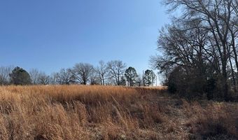 COUNTY ROAD 1575, Alba, TX 75410