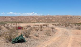 4755 Gold Butte Rd, Bunkerville, NV 89007