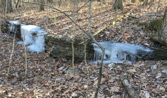 County Road P-305, Ava, MO 65608