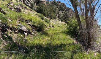 32370 Poudre Canyon Rd, Bellvue, CO 80512