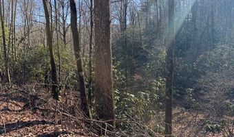 1834 Bristol Ave, Andrews, NC 28901