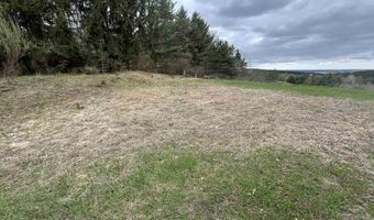 McPherson Road lot 11 & 12, Alden, MI 49612