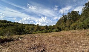 13 44 Ac Chestnut Ridge Rd, Allardt, TN 38504