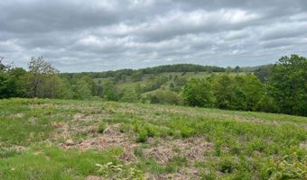 Co Rd 321 Route 5, Ava, MO 65608