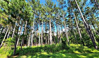 1570 Shelby Ln, Bogue Chitto, MS 39629