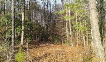 Lot # 38 Morristown Road, Bracey, VA 23919