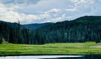 17 County Road 2114, Alpine, AZ 85920