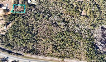 2424 White Pond Church Rd, Alford, FL 32420
