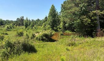 Beauty Hill Rd lot 2, Bethel Springs, TN 38315