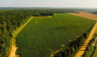 1037 Cr 300, Big Creek, MS 38914