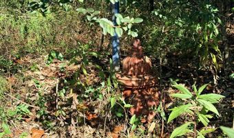 TBD US HWY 431, Abbeville, AL 36310