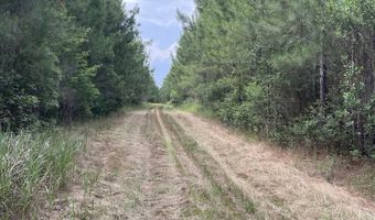 0 Highway 31, Bay Minette, AL 36507