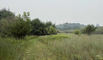 20 Acres E M-30 Hwy, Alger, MI 48610
