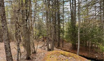 TM 413 L 99 King Road, Alexandria, NH 03222