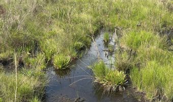 81 1+/- AC Old River Rd, Baker, FL 32531