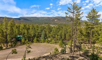 CR 2193, Alpine, AZ 85920