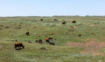 US Highway 385, Alliance, NE 69301