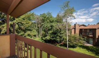 1811 S Black Ave D, Bozeman, MT 59715