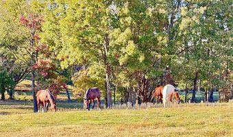 4321 S Bentley Rd, Atoka, OK 74525