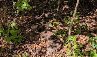 1494 Hilton Dr, Akron, OH 44313