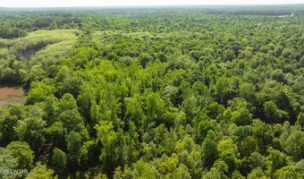 Beech Bluff Road, Beech Bluff, TN 38313