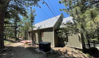 383 Evergreen Rd, Black Hawk, CO 80422
