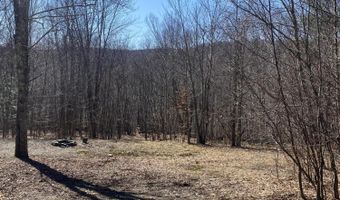 L21.1 Alder Pond Road, Andes, NY 13740