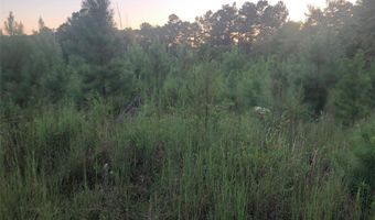 LAKE SECESSION Road, Abbeville, SC 29620