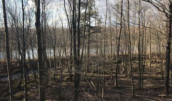 Lot 119 Mountain Rd, Albrightsville, PA 18210