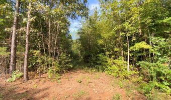 18 62 Ac Squirrell Hollow Rd, Alberta, VA 23821
