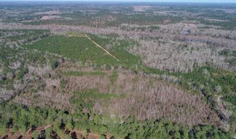 5510 Mauss Hill Rd, Adams Run, SC 29426