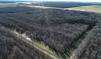 6075 Curtis Rd, Batesville, MS 38606