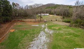 12880 PLANT Rd Lot 0, Alpine, AL 35044