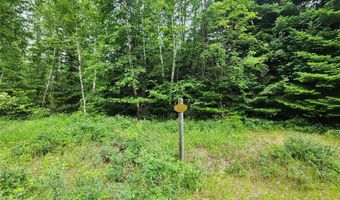 13727 Big Hawk Dr, Bigfork, MT 59911