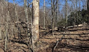 Lot # 70 Tall Tree Lane, Banner Elk, NC 28604