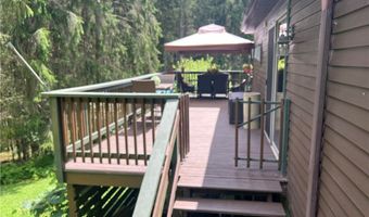 3220 Mcclure Hollow Rd, Allegany, NY 14706
