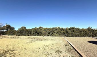 1012 W Castleberry Rd, Artesia, NM 88210
