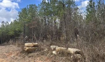 St. Johns Road, Braxton, MS 39044