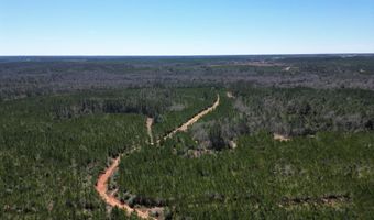 04 Robinsonville Rd, Atmore, AL 36502