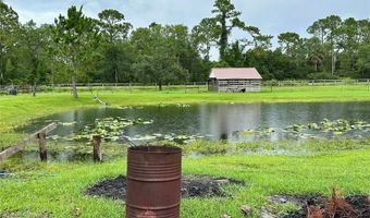 1350 RED COLT Ct, Astor, FL 32102