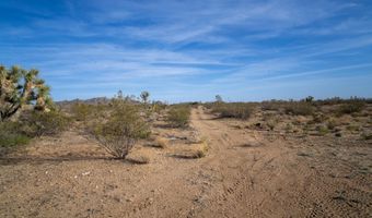 7190 E Red Barrel Rd, Yucca, AZ 86438