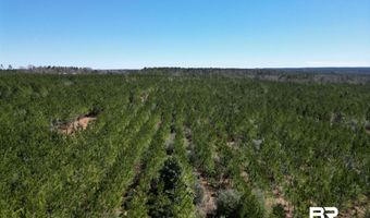 Robinsonville Road, Atmore, AL 36502