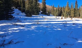 3553 RIVER Dr, Alma, CO 80420