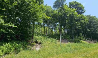 Sweeney Lane lot 49/50, Cambridge, VT 05464