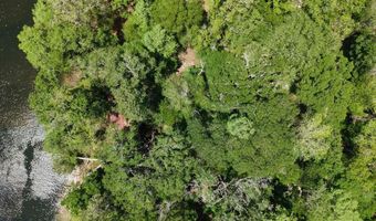 TBD 000 SW 86th Way, Bell, FL 32619