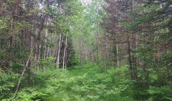9 Private Road WI-139, Argonne, WI 54511