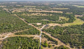 707 Wells Ln, Weatherford, TX 76085
